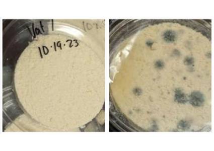 Natamax Salt Case Study