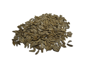 Caraway Seed